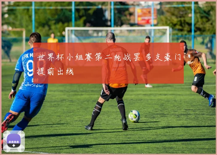 世界杯小组赛第二轮战罢 多支豪门提前出线