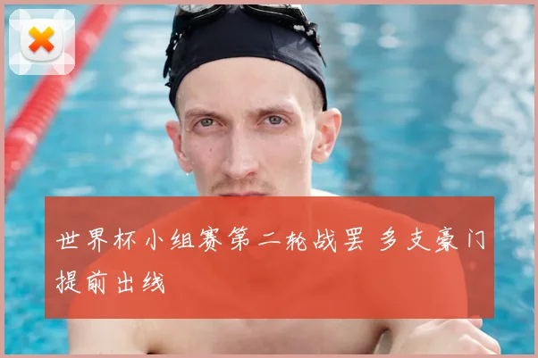 世界杯小组赛第二轮战罢 多支豪门提前出线