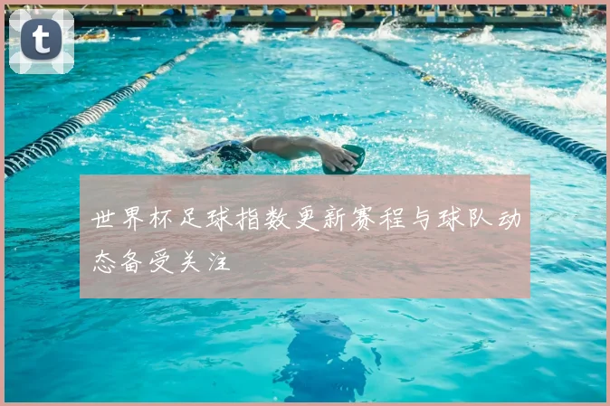 世界杯足球指数更新赛程与球队动态备受关注