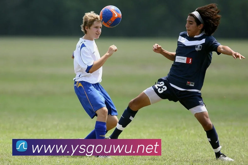 世界杯平台官网登录APP 高清赛事图